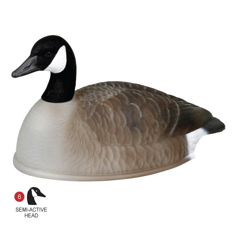 Canada goose clearance 12 ans